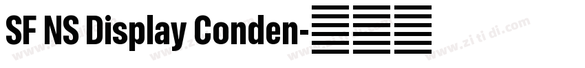 SF NS Display Conden字体转换